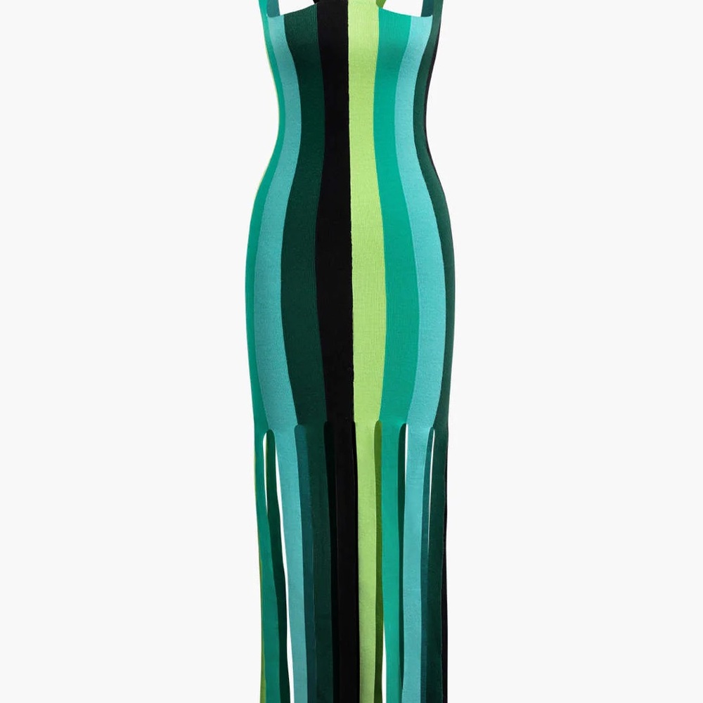 Striped Multicolor Fringe Dress